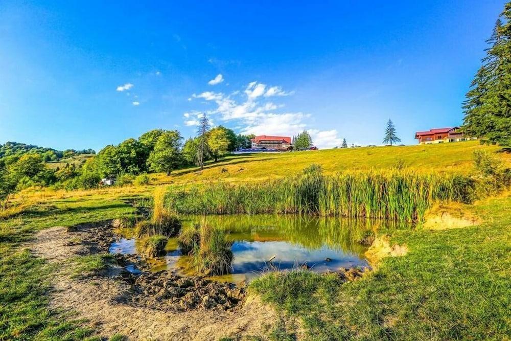 Cabana Trei Brazi Predeal Exteriör bild