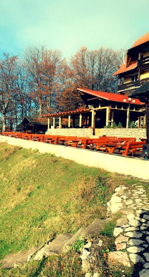 Cabana Trei Brazi Predeal Exteriör bild