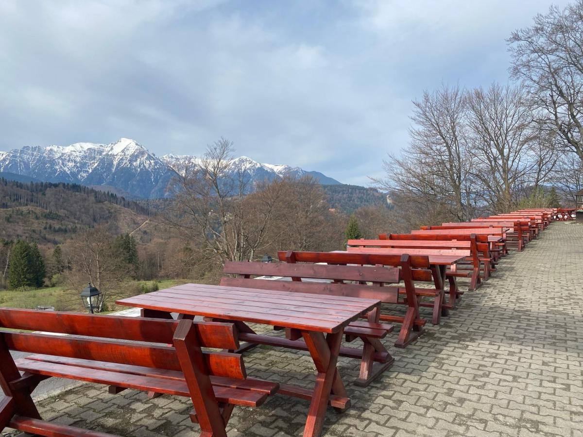 Cabana Trei Brazi Predeal Exteriör bild