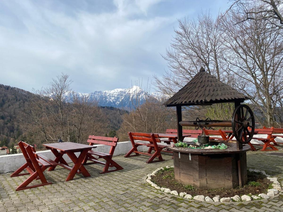 Cabana Trei Brazi Predeal Exteriör bild