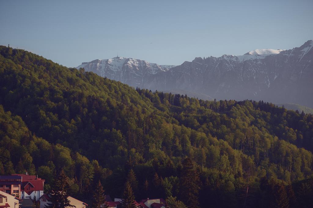 Cabana Trei Brazi Predeal Exteriör bild